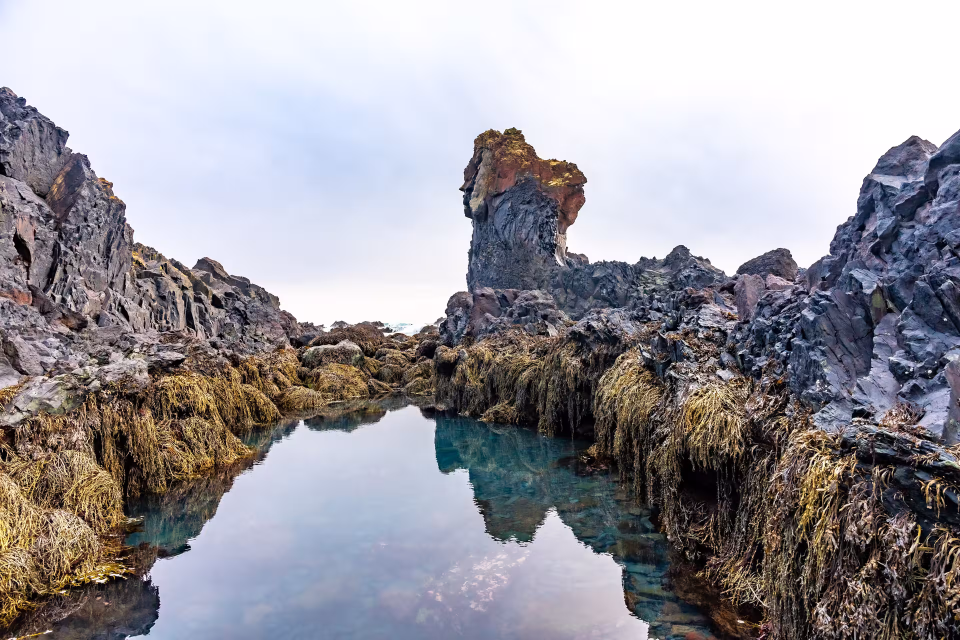 Rocky tidal pool with seaweed-covered lava rocks and a towering basalt sea stack on Snaefellsnes Peninsula