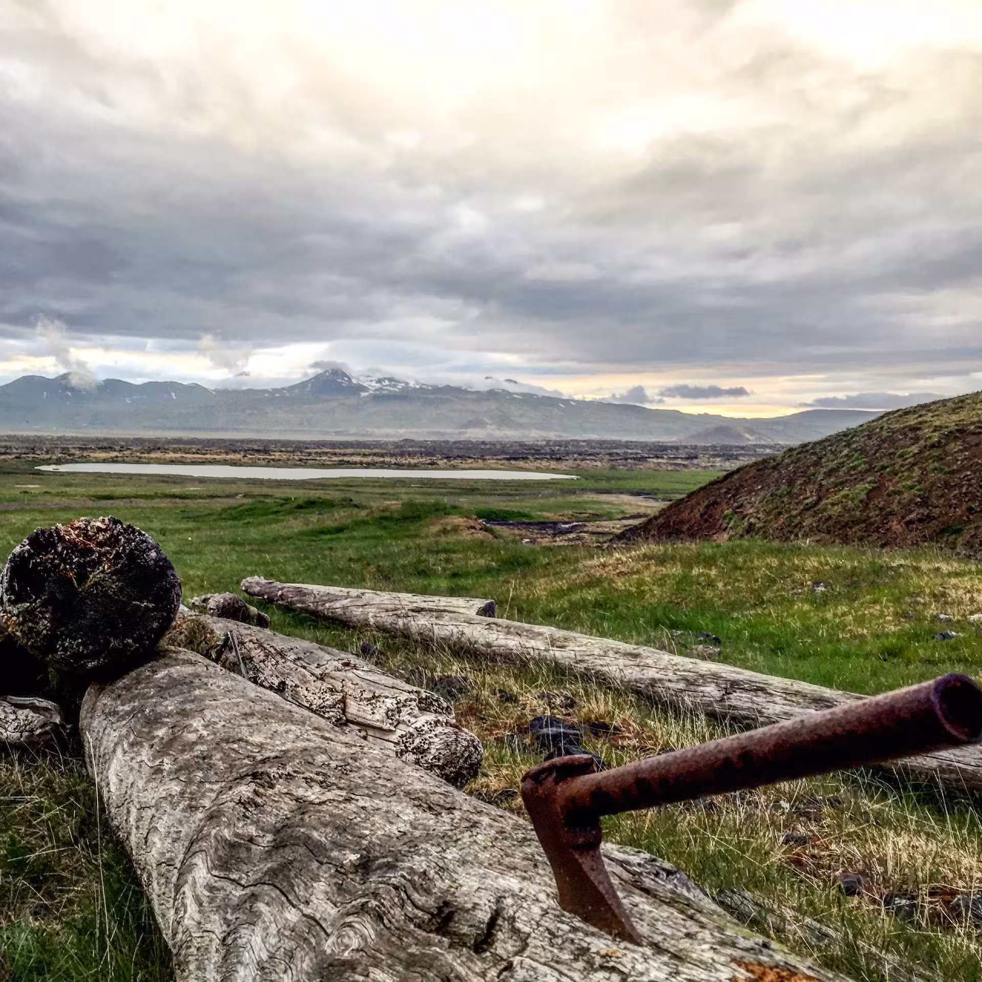 Weathered driftwood logs on green hillside with Snæfellsjökull glacier volcano and mountains in background