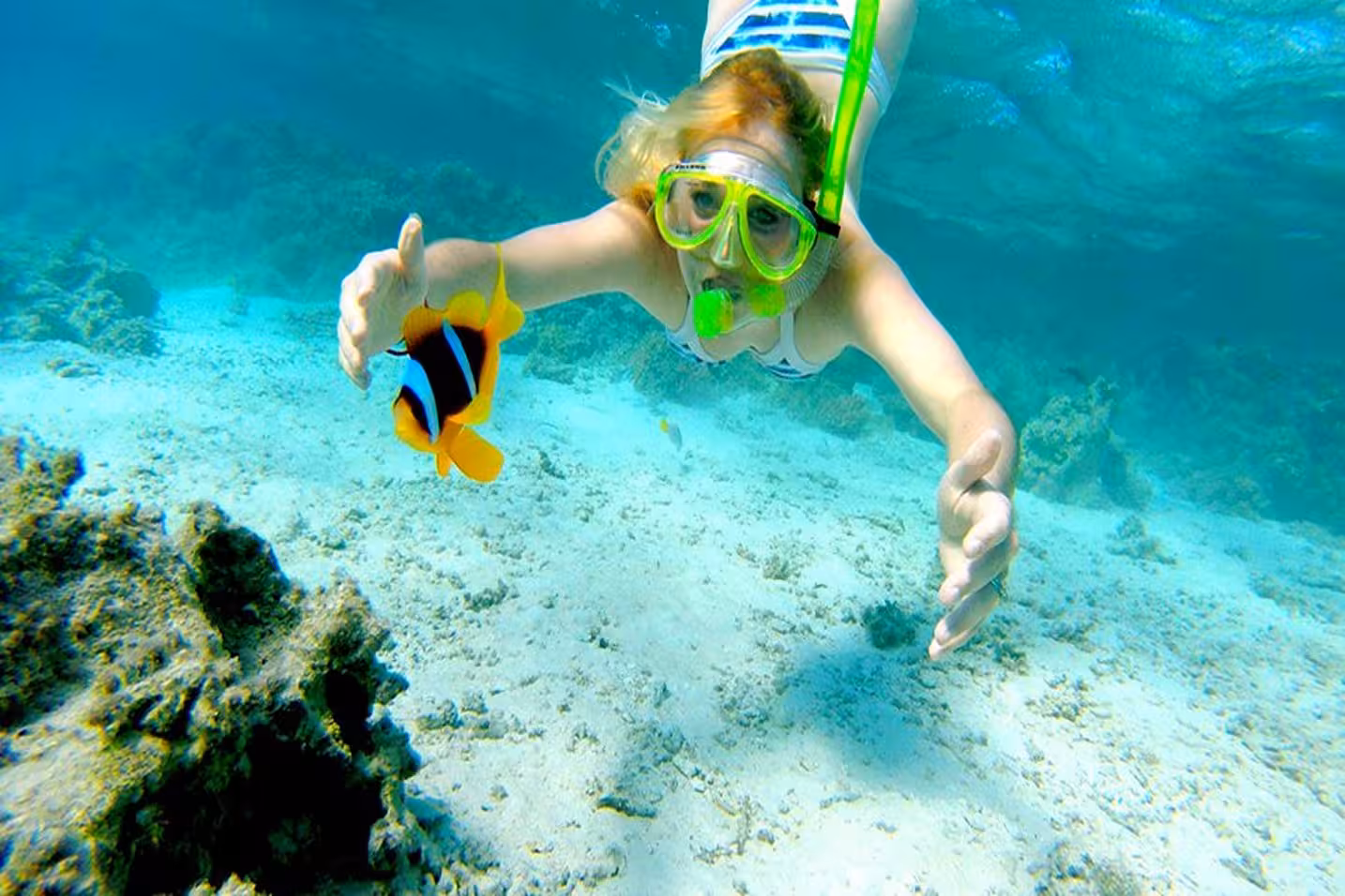 Snorkeler swimming with colorful reef fish in Ras Mohamed National Park, Red Sea boat trip from Sharm