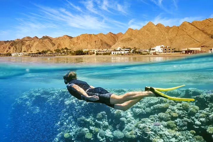 Snorkeler above vibrant coral reef in Dahab, Red Sea, on Jeep Safari Canyon Salama and snorkeling trip