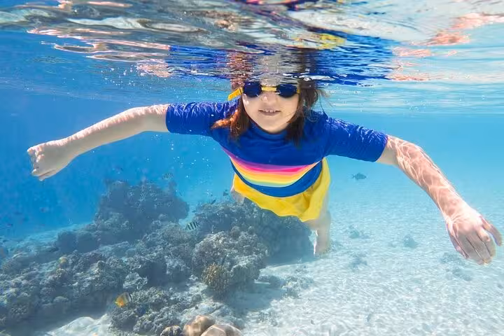 Snorkeler floating over Red Sea coral reef on Dolphin House trip from Hurghada, crystal-clear water
