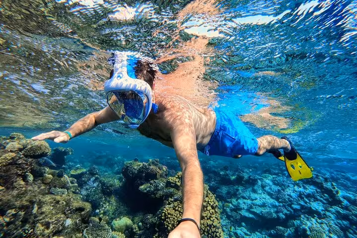 Snorkeler exploring coral reef at Hula Hula Island, Hurghada with water sports adventure and lunch included