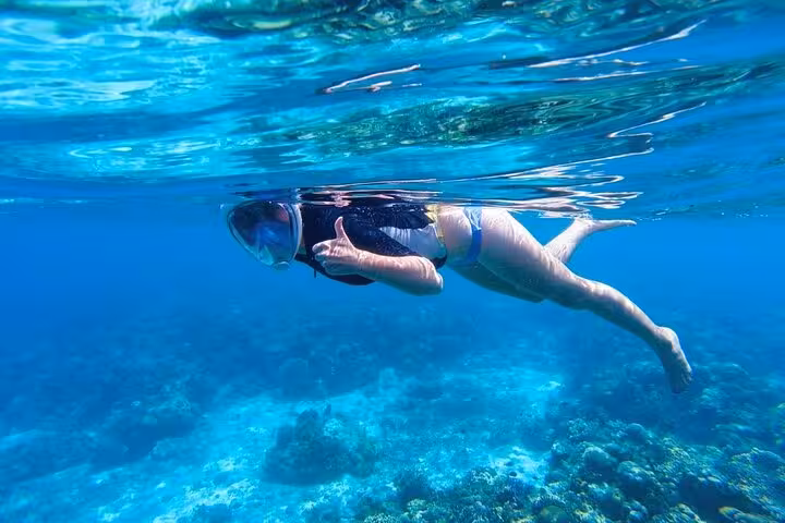 Snorkeler floating in clear Red Sea at Dolphin House Hurghada, swim with dolphins trip with lunch on boat