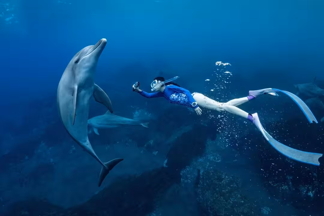 Snorkeler swims with dolphins in the Red Sea near Mahmya Island, Hurghada, on a tropical boat trip tour