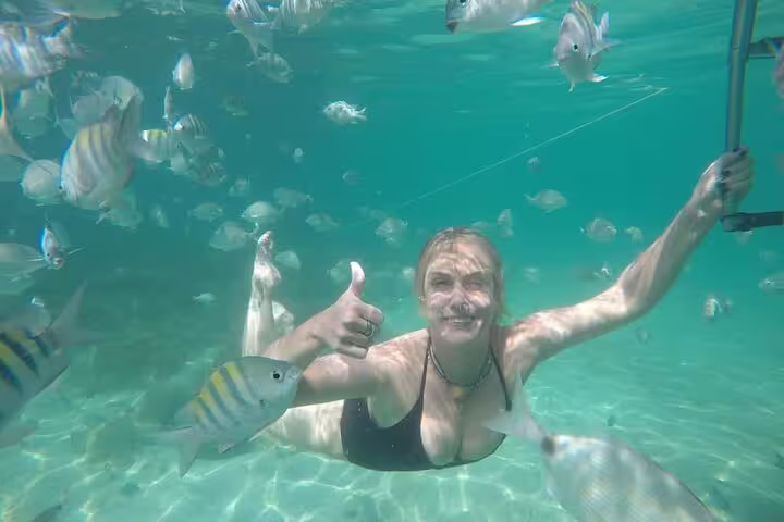 Snorkeler enjoying vibrant marine life in crystal clear waters of Ilha Grande during Angra boat tour adventure.