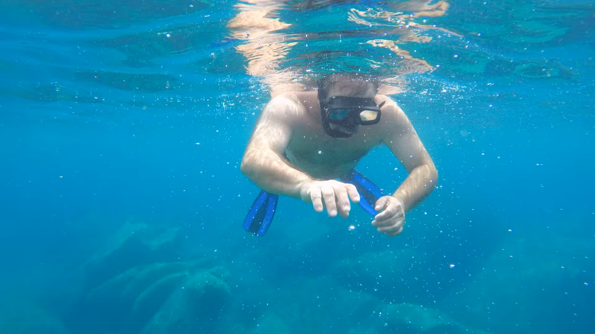 Snorkeler explores vibrant underwater world in Porto Conte Park, Alghero, with clear turquoise waters.