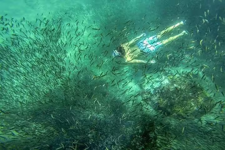 Snorkeler exploring vibrant marine life on a private Rio boat tour with barbecue and drinks.