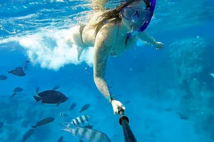 Snorkeler swimming in clear Red Sea water with reef fish near Hurghada, Lovely Island day trip adventure