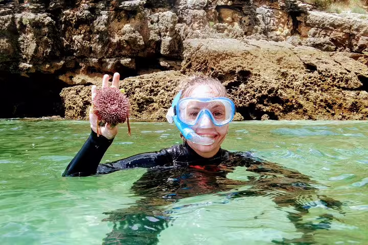 Snorkeler in Arrábida waters holds a sea urchin, showcasing marine life exploration on the Arrábida Snorkeling & Wine tour.