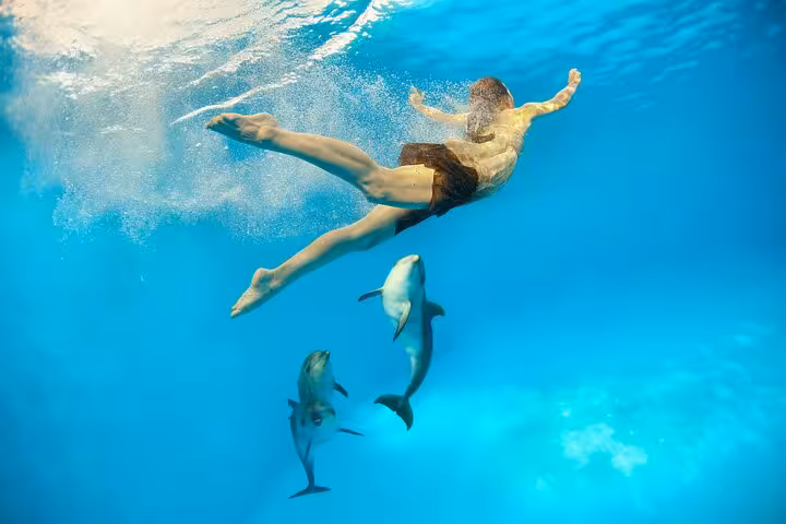 Snorkeler swimming with wild dolphins at Dolphin House Hurghada, Red Sea boat trip with lunch included