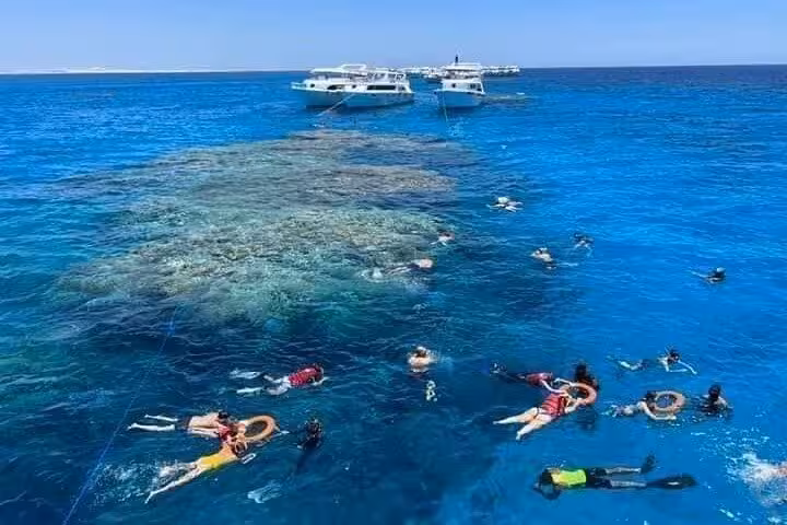 Snorkelers swim above coral reef near White Island, Ras Mohammed National Park, Sharm El Sheikh boat tour