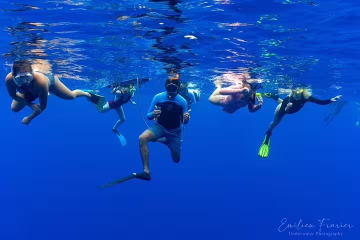 Group of snorkelers swimming underwater in blue ocean waters of Moorea with fins and masks