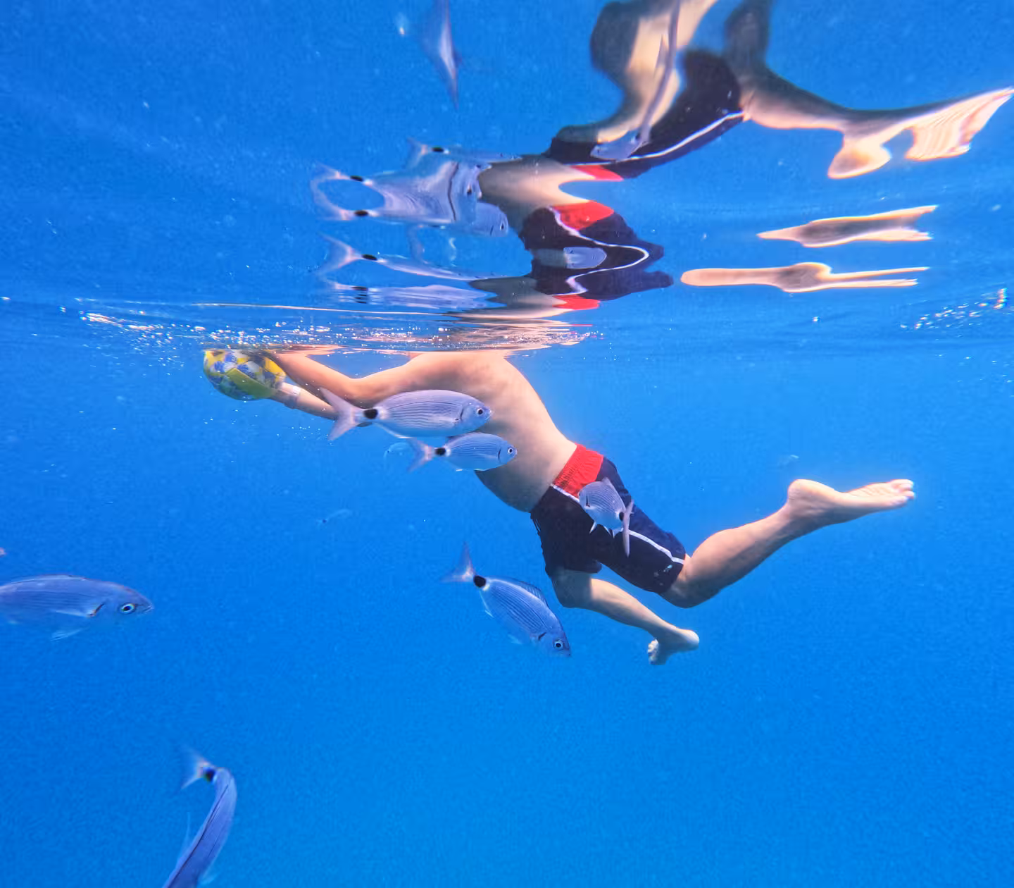 Snorkeling with fish in crystal-clear Blue Lagoon waters on 3 Islands speedboat tour with cave stop