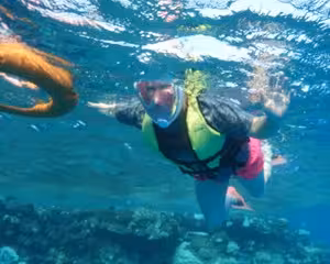 Snorkeler with full-face mask and life vest exploring coral reef at Giftun Island, Red Sea