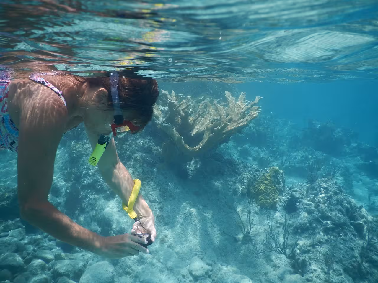 Snorkeler exploring coral reef underwater in clear turquoise waters at Hurghada