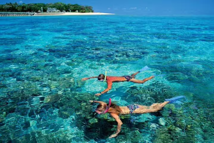 Snorkelers floating over clear Red Sea reef at Samadai, Marsa Alam, on VIP dolphin snorkeling boat trip