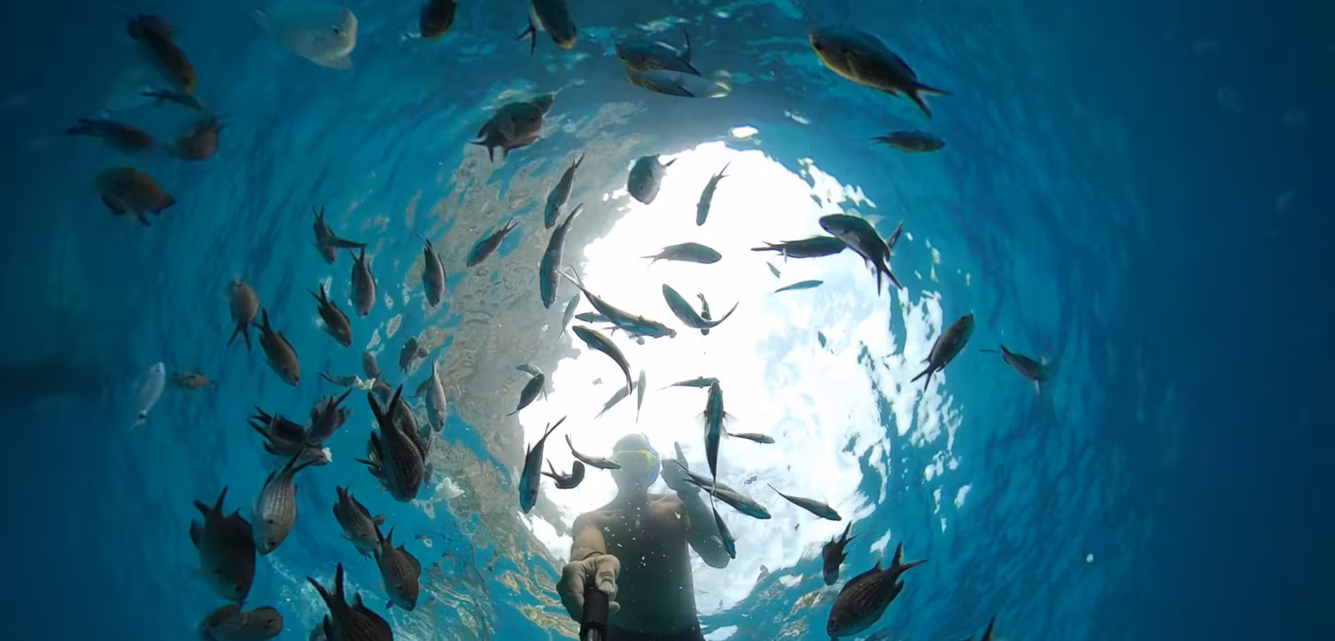 Snorkeler surrounded by colorful fish in the clear waters of the Gulf of Orosei near Cala Gonone.
