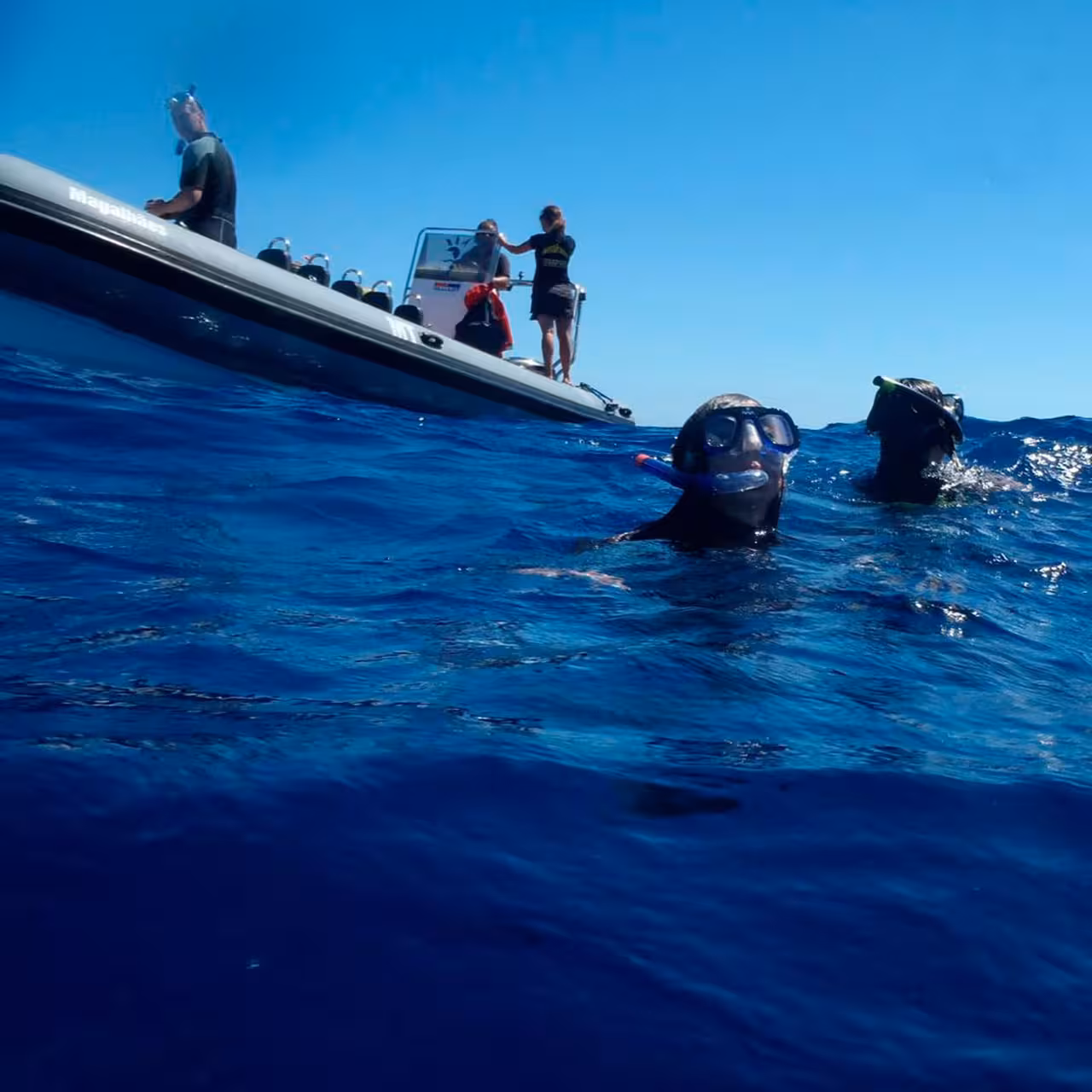 Snorkelers beside a RIB boat in clear Atlantic water on the 2-hour Ilhéus das Cabras snorkeling tour