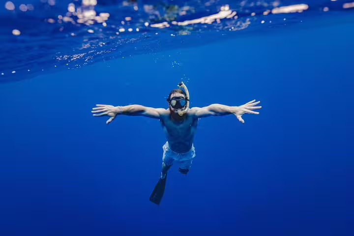 Snorkeler floating in clear blue water on Satayh Dolphin Reef tour, Marsa Alam Red Sea dolphin lagoon