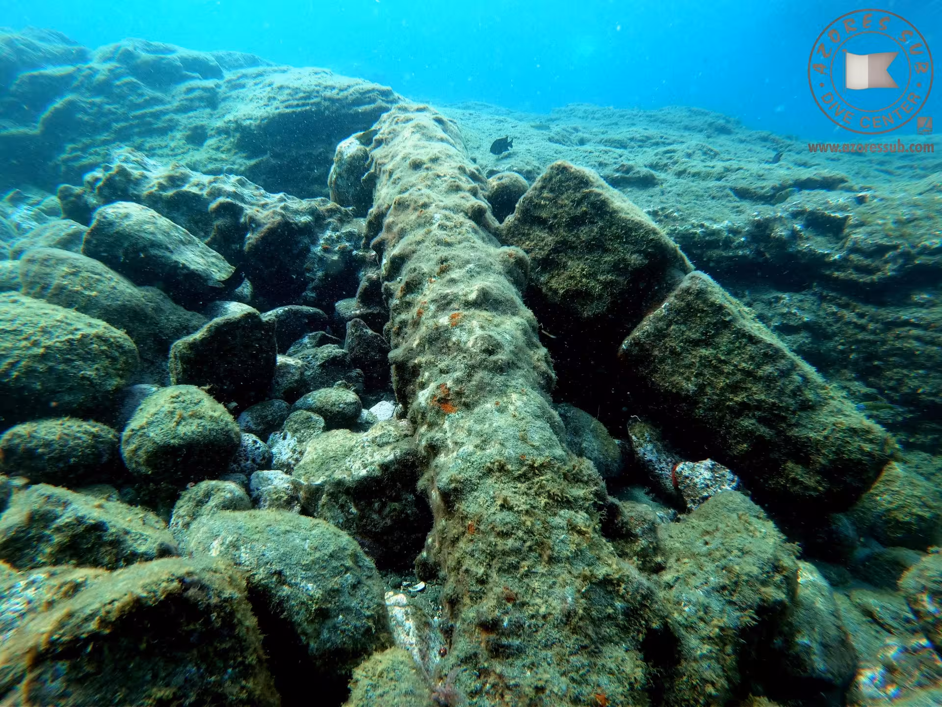 Underwater view of rocky seabed and algae-covered boulders in clear blue water on an Azores snorkeling trip