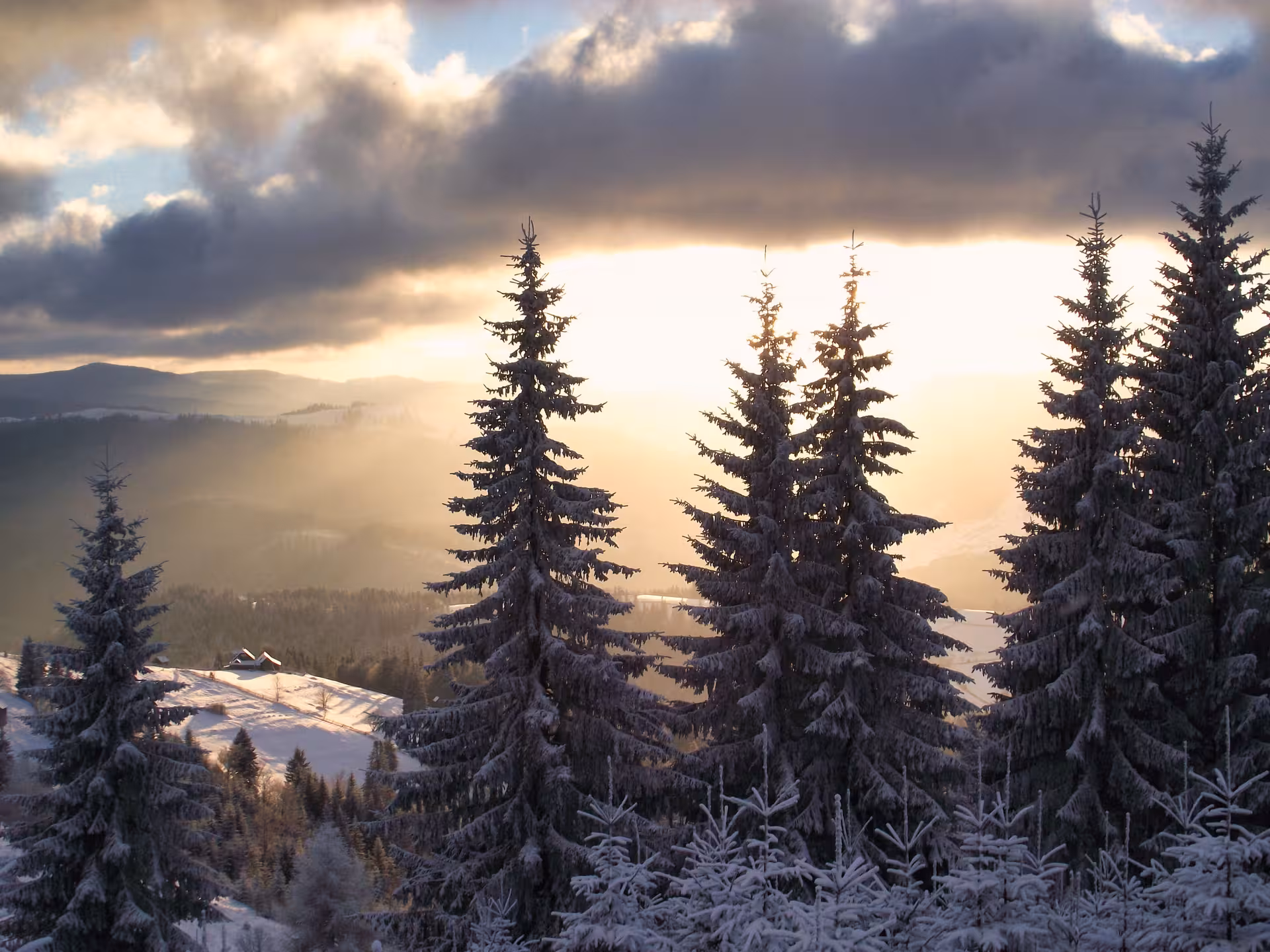 Snow-dusted fir trees glowing at sunset over the scenic Bucovina valley landscape on a Romania monastery tour