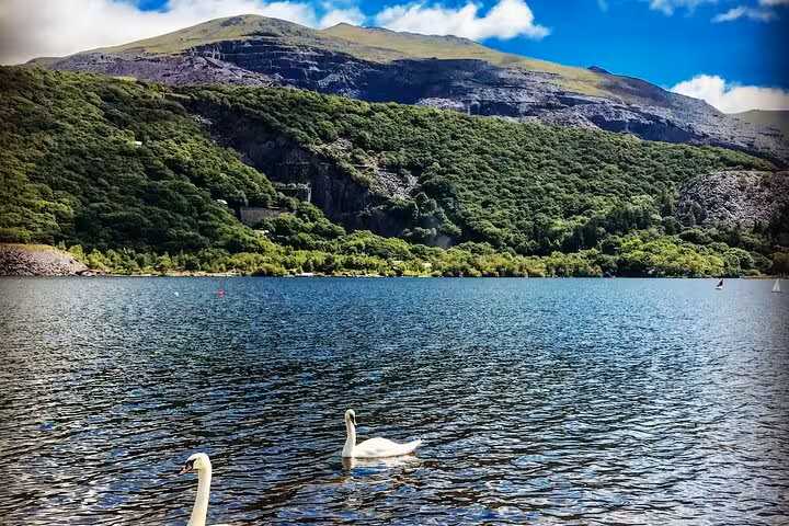 Swans on a tranquil Snowdonia lake with mountains beyond, scenic stop on the Snowdonia & 3 Castles Tour