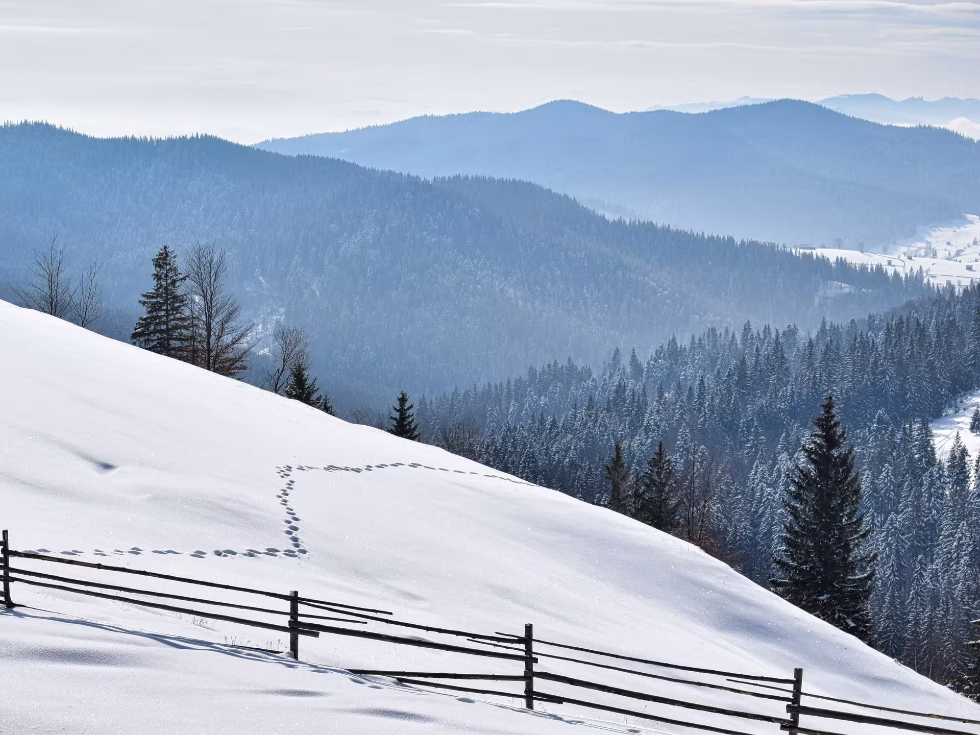 Snowy Bucovina winter landscape with forested mountains and footprints near monasteries Easter egg painting tour