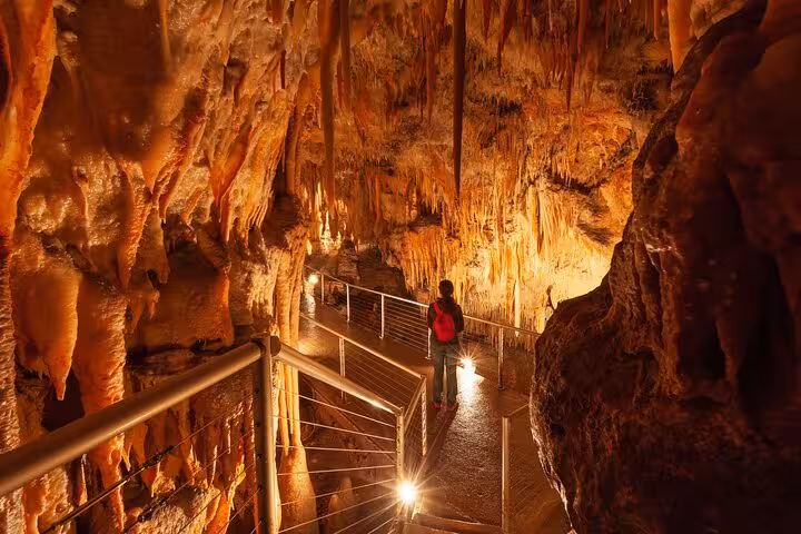 Visitor exploring illuminated stalactites in a cave, highlighting the natural wonders of Snowy Mountains NSW tours.