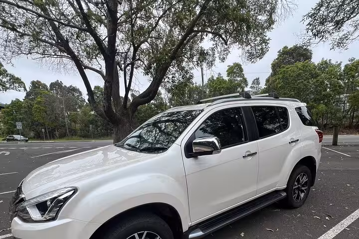 Spacious white SUV parked under trees, ideal transport for a comfortable Snowy Mountains, NSW private tour.
