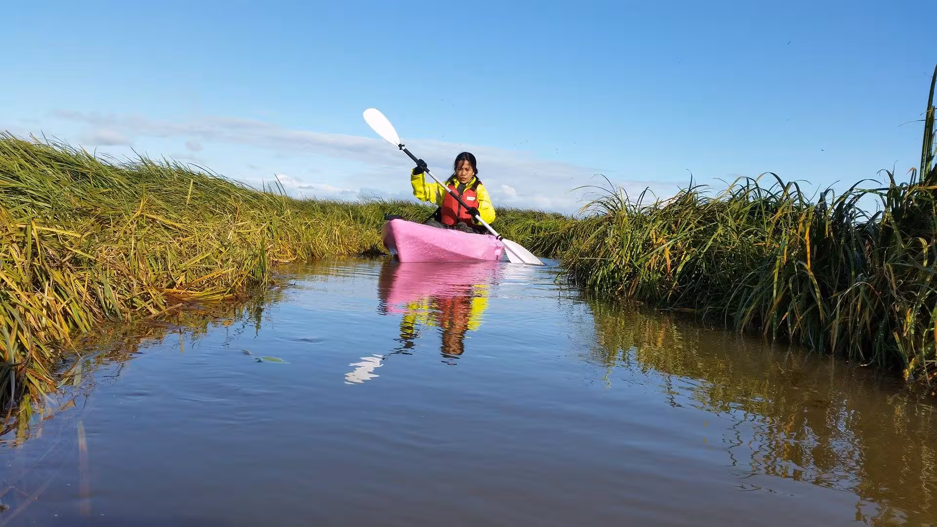 Woman kayaking solo in a pink kayak through a narrow reed-lined waterway on a sunny day