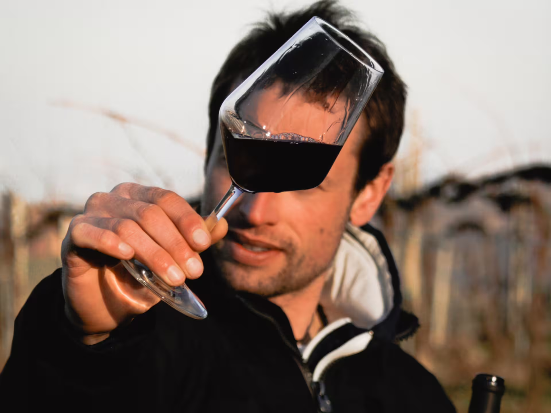 Sommelier holding red wine glass in Pavia vineyards during organic winery visit and food pairing tasting