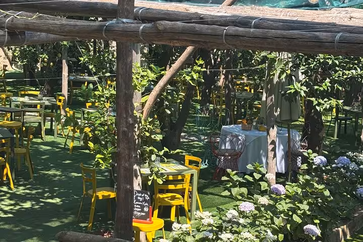 Charming outdoor cafe in a Sorrento lemon grove offers local cuisine amidst vibrant greenery and flowers.
