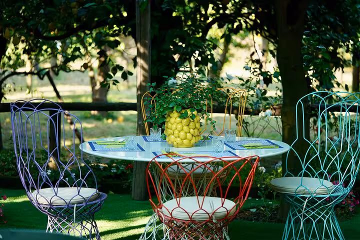 Colorful garden setting with a table adorned with fresh lemons in a Sorrento lemon grove experience.