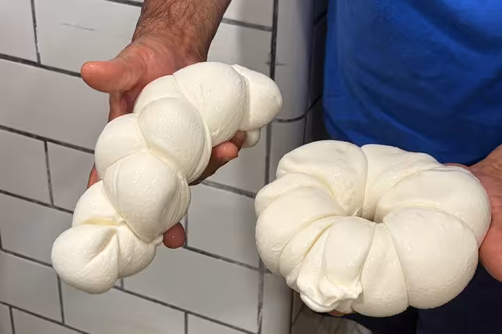 Hands display freshly crafted mozzarella cheese, showcasing the farm-to-table culinary experience.