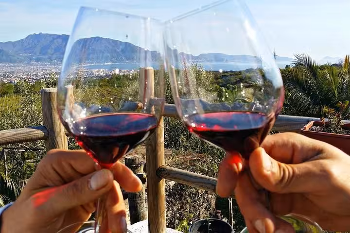 Two hands toasting with red wine glasses overlooking a scenic Sorrento landscape, perfect for wine-tasting tours.