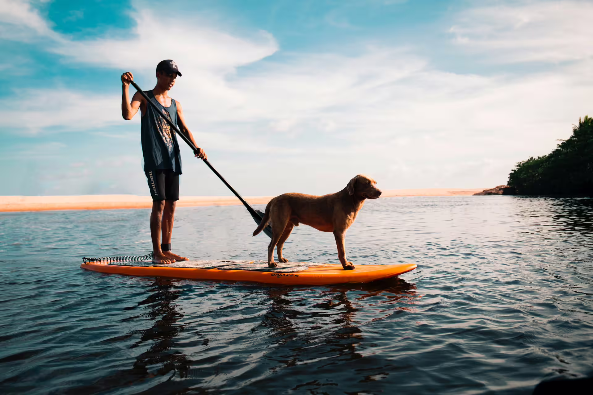 Embark on a paddleboard adventure with your furry friend near Sotogrande, ideal for active sea-loving groups.