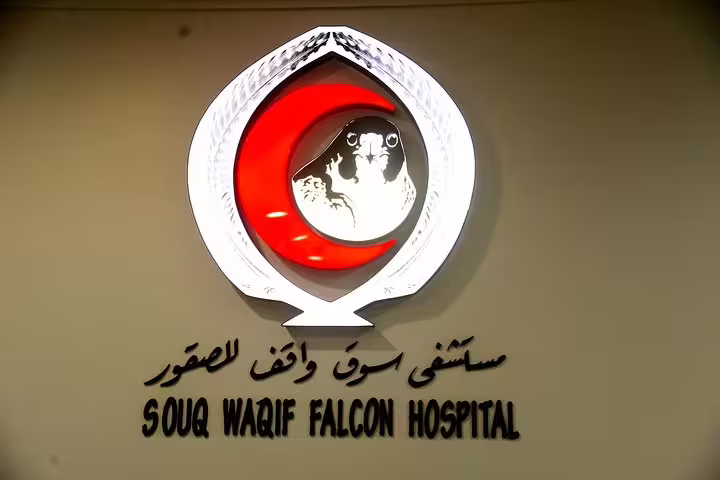 Signage of Souq Waqif Falcon Hospital in Doha, highlighting Qatar's cultural heritage and falconry traditions.