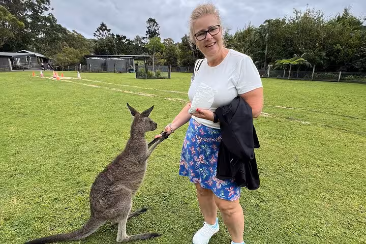 Woman engaging with a friendly kangaroo at a lush park during South Coast private tour experience.