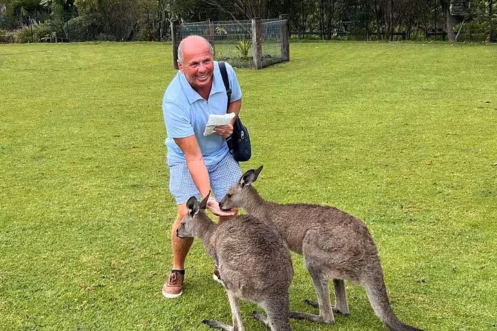 Tourist enjoying a close encounter with kangaroos on a South Coast private tour, capturing unique wildlife experiences.