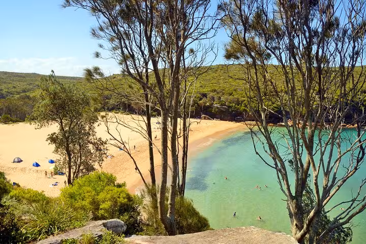 Idyllic sandy beach with turquoise waters and surrounding forest on the South Coast private tour.