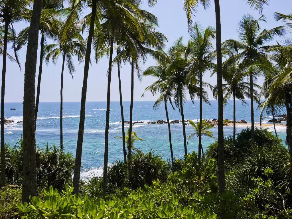 Scenic view of palm trees and azure ocean waves on a sunny southern coast beach, ideal for a tropical getaway.