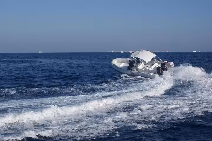 High-speed boat racing across open sea on a dolphin spotting tour, creating wake for an exciting ocean ride