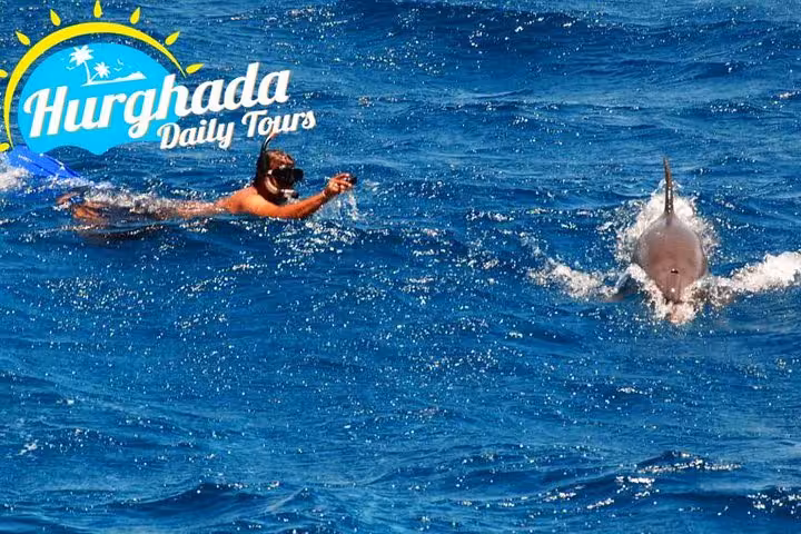 Swimmer snorkeling near a wild dolphin at the surface on a Hurghada speedboat dolphin tour in the Red Sea