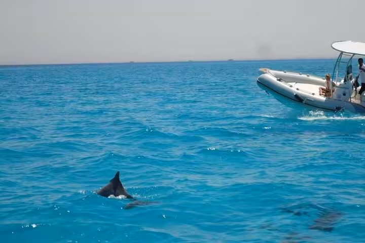 Speedboat cruising over turquoise Red Sea near Hurghada Safaga, ideal for private fishing and snorkeling tour