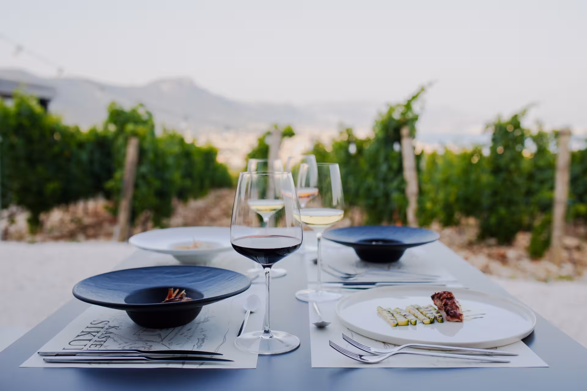 Split wine & dine tasting table with Dalmatian plates and local wines set beside a scenic vineyard view