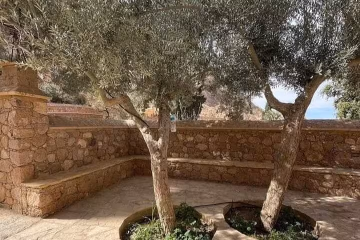 Quiet courtyard with ancient olive trees at St Catherine’s Monastery, part of the Dahab city tour