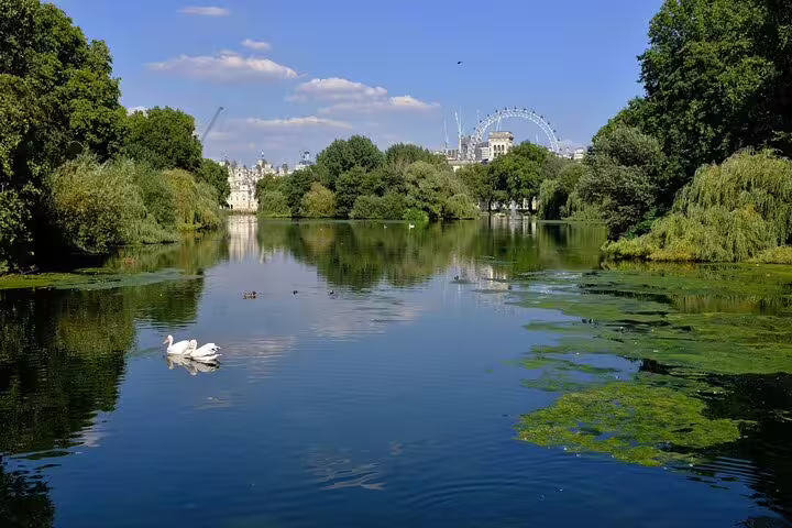 Serene St James’s Park lake with swans and London Eye view on a full-day London sightseeing tour with a local