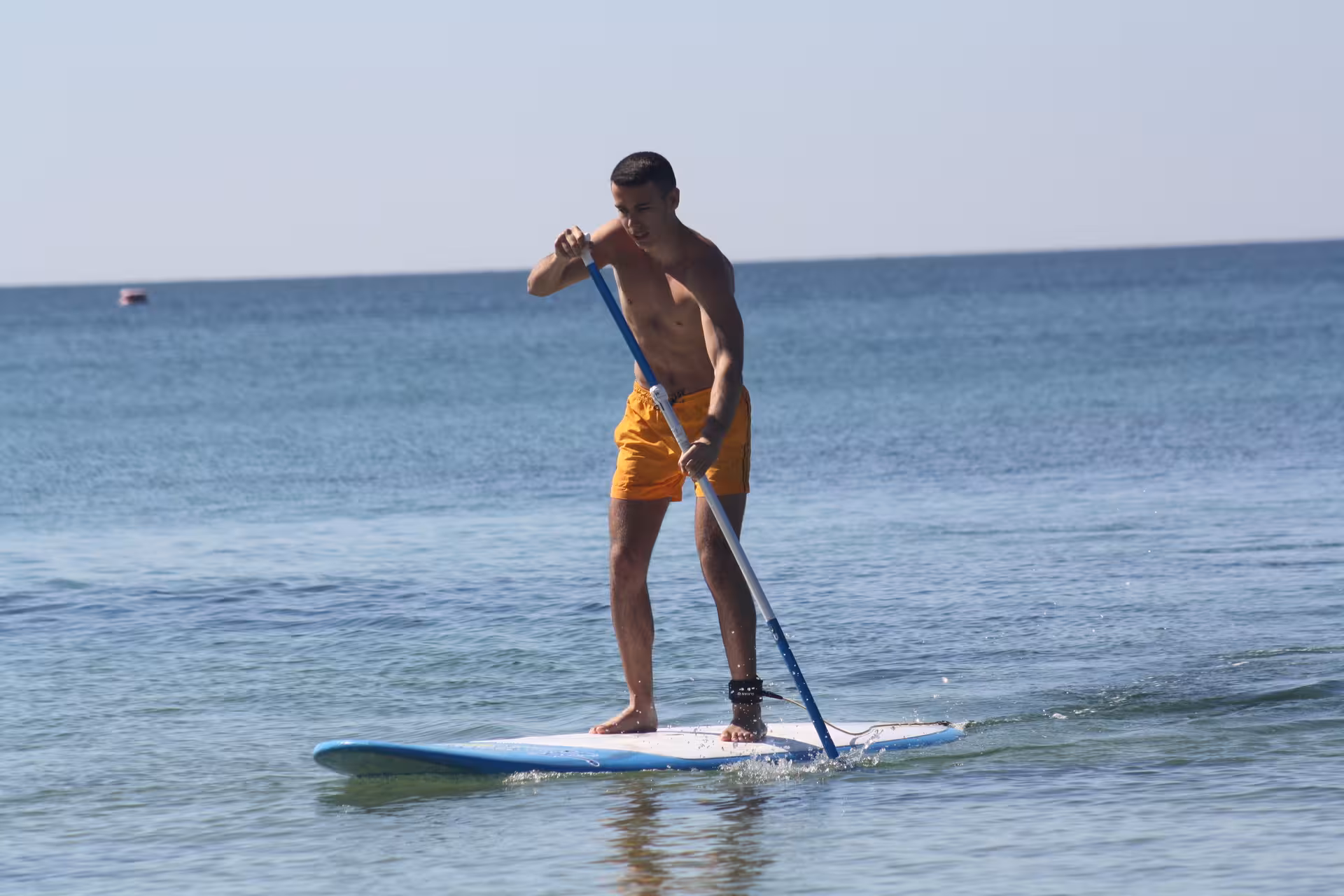 Athletic man in orange shorts paddling a blue and white SUP board on a sunny calm ocean beach