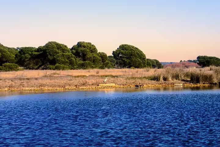 Scenic view of tranquil waters and lush greenery in Lisbon, perfect for a stand-up paddle adventure and nature exploration.