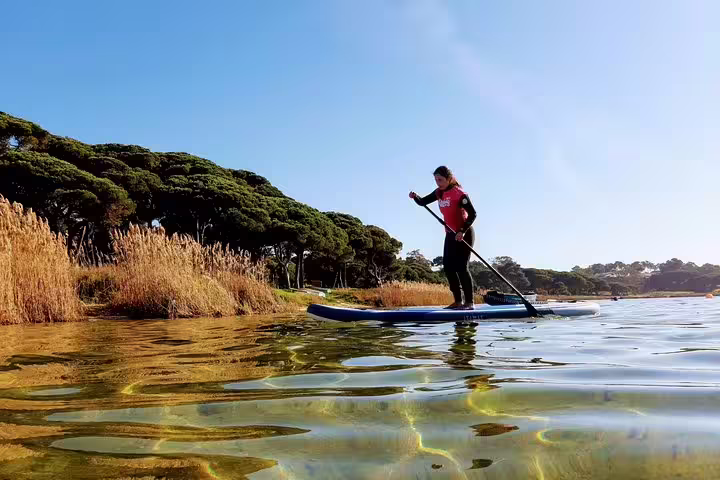 Person enjoying stand up paddleboarding on calm waters near scenic Lisbon with lush greenery and clear blue skies.